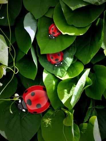 Behind The Scenes The Making Process Of New Anime Series