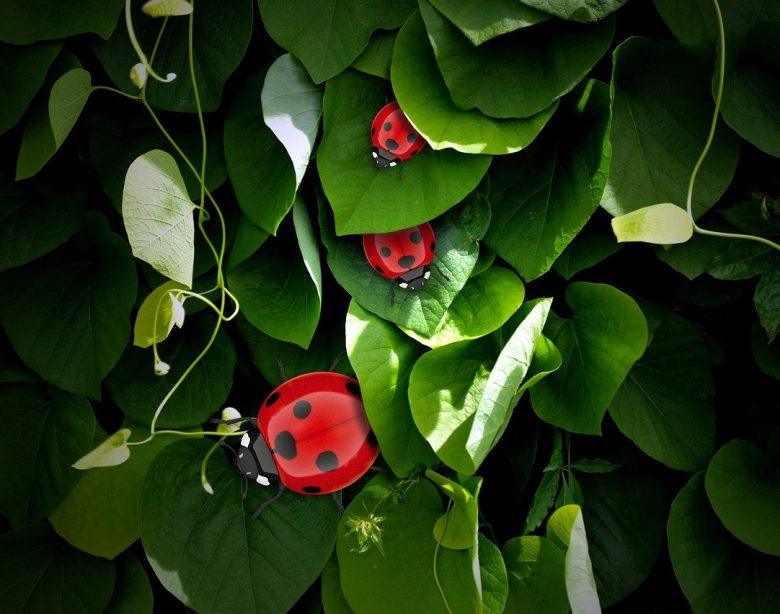 Behind The Scenes The Making Process Of New Anime Series