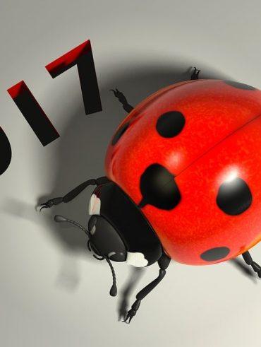 The Evolution Of Anime Comparing Classics With New Releases