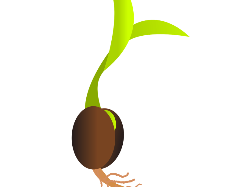 Top Ten New Anime Series To Look Out For In 2022