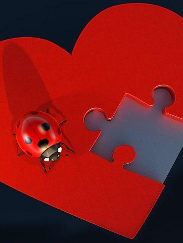 Top Ten New Anime Series To Look Out For In 2022